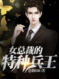 女总裁特种兵王有声