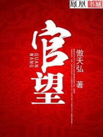 官望权利冲天 第307章