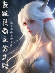 贵族领主文