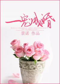 一宠成婚薄先生安分点慕钦钦