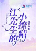 江先生的小作精by豆豉