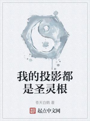 我的投影都是圣灵根 我的投影都是圣灵根